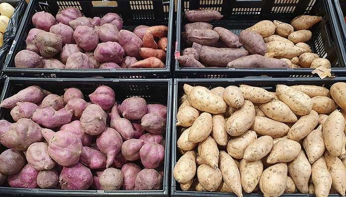 You can find the finest Kumara in Dargaville.