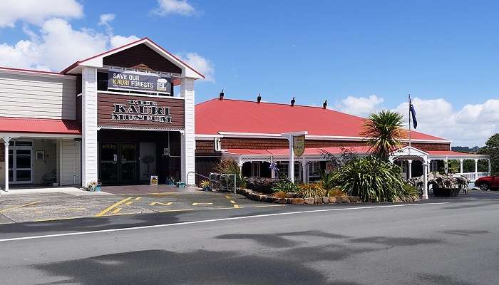 The Kauri Museum is a must visit to understand about the gum industry.