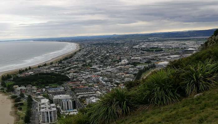 View from Mountain 