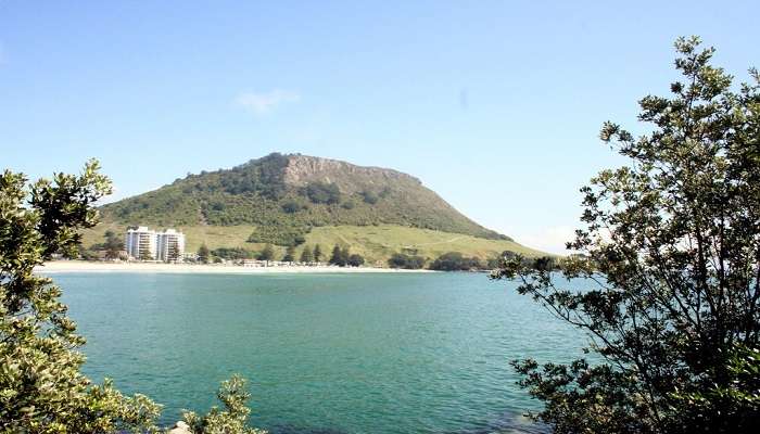 View of Pilot Bay beach, as seen from one of the lookouts on top of Mt. Maunganui. 