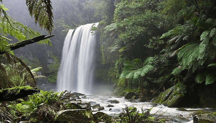 If you wish to experience the beauty of Thirparappu Waterfalls, it is the best place to visit in Poovar. 