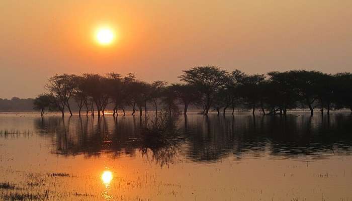 A beautiful sunset at the Thol Lake in Mehsana district in Gujarat.