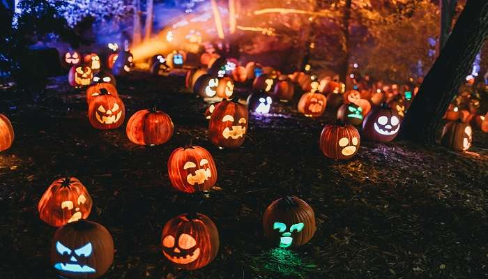 Illuminated pumpkin lanterns at The Great Jack O-Lantern Blaze.