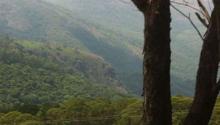 The view of Kodaikanal hills from Coakers Walk