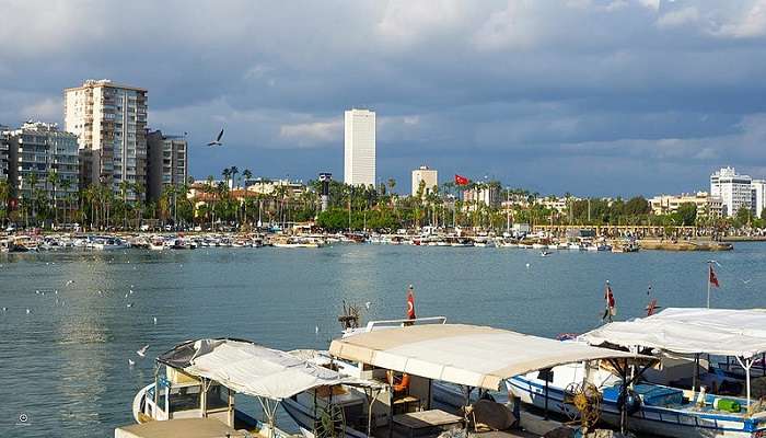 Marina with boats and cityscape