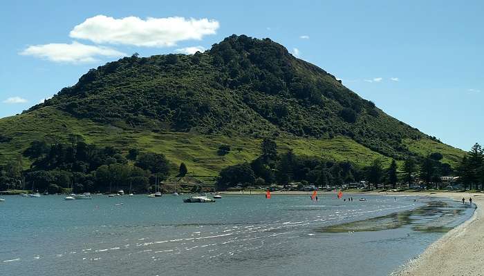  Aerial view of Mount Maunganui with its iconic beach and surrounding areas. 