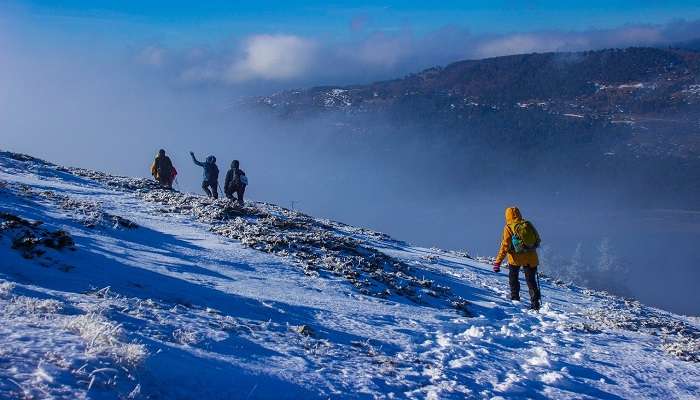 Munsiyari trek