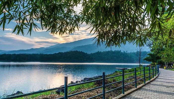 Visit the excellent wildlife and the flora and Fauna around Banasura Sagar Dam and its surroundings.