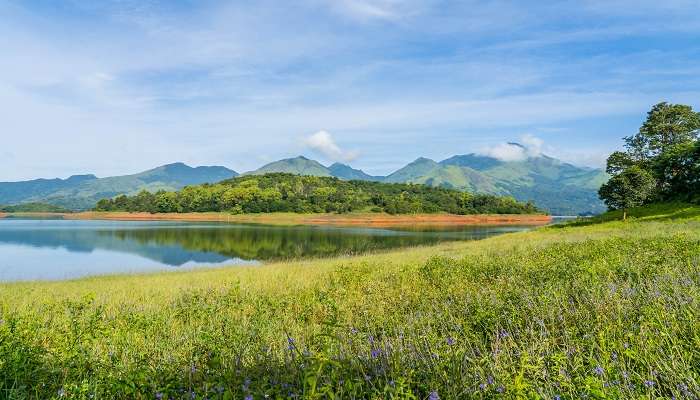 Located in the Banasura hills, tourists can have fun by boating and zorbing in Banasura Sagar Dam.