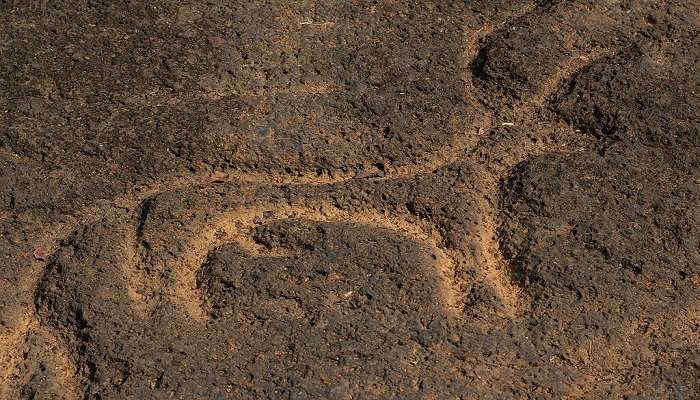 Image of stone carving in Usgalimal near the savari waterfall.