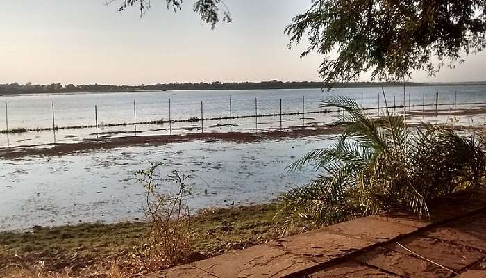 View of Upper Lake from Van Vihar National park Bhopal near the Regional Science Centre.