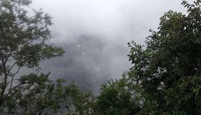 A waterfall amidst the Palani hills