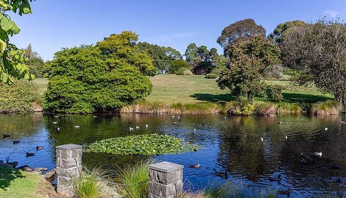 Timaru Botanic Garden, New Zealand near Gisborne.