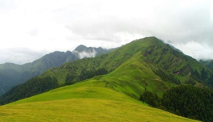 Rohini Bugyal trek