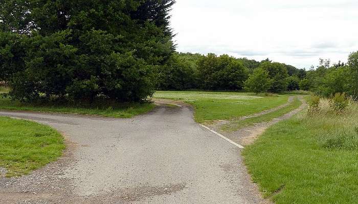 A pathway at Splitters Farm 