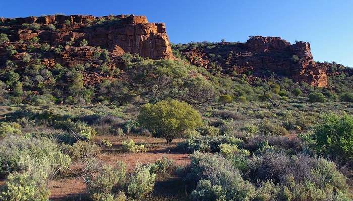 Visitez le parc de conservation Whyalla