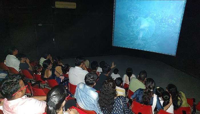 The viewing of 3D film at the centre 