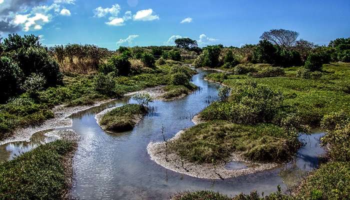 sentier Bluewater