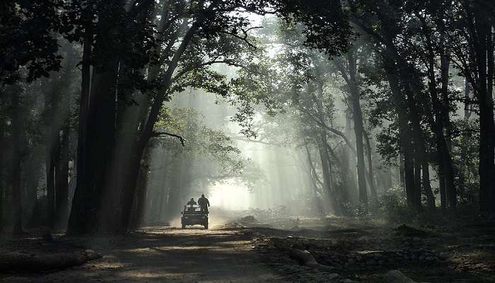 जिम कॉर्बेट नेशनल पार्क