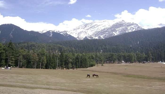 बैसरन पहाड़ियाँ