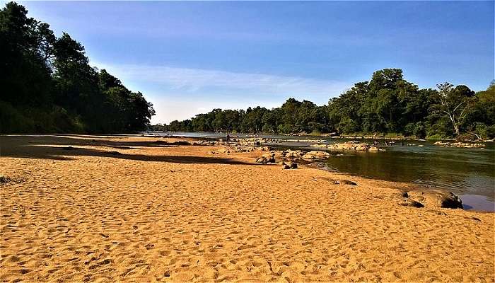 वासगामुवा राष्ट्रीय उद्यान कहाँ स्थित है