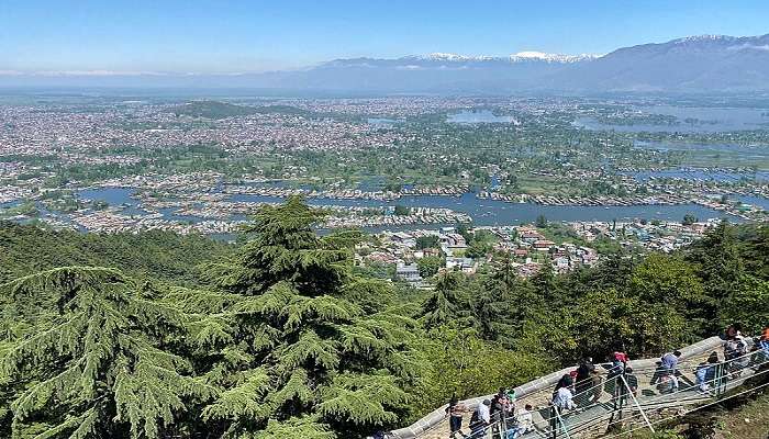 शंकराचार्य मंदिर के बारे में जानने योग्य आवश्यक तथ्य