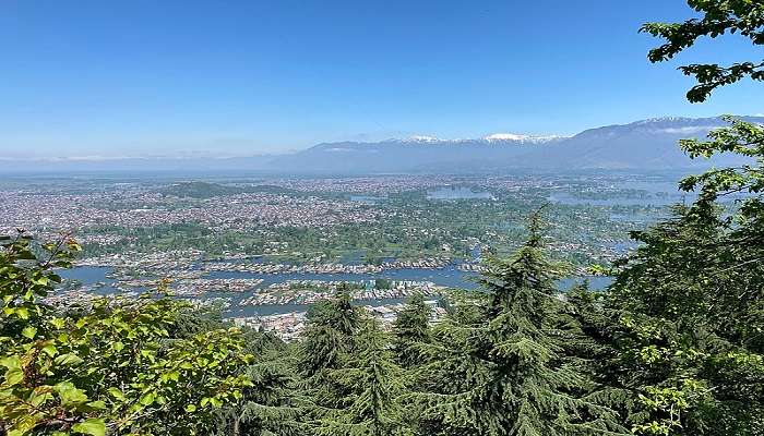 शंकराचार्य मंदिर तक कैसे पहुंचें