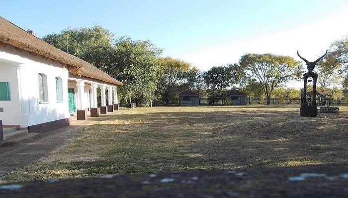 हॉर्टोबैगी राष्ट्रीय उद्यान