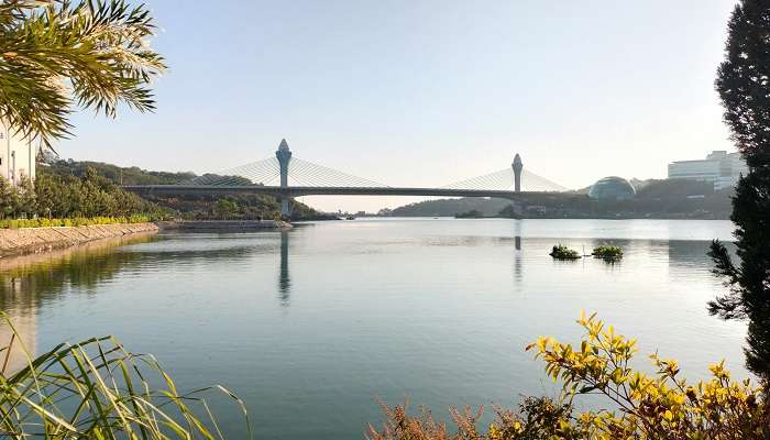 Know about the durgam cheruvu cable bridge.