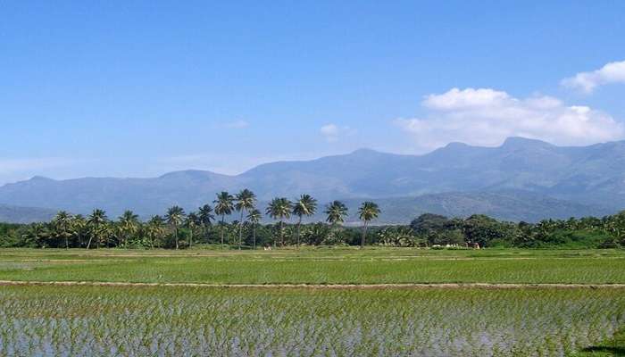 Kariampalayam is a quaint village in the Coimbatore district of Tamil Nadu