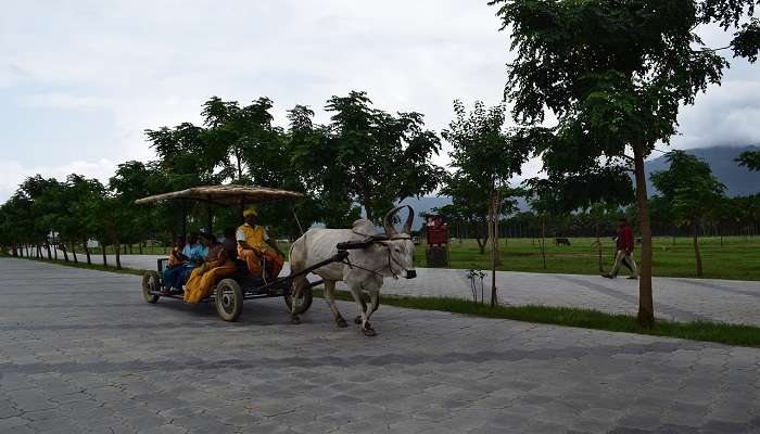 Know about the Nallampalayam.