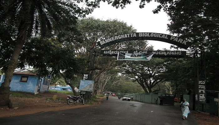 Bannerghatta National Park near the Arkavathi River