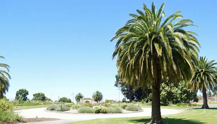 Explorez la Bendigo Botanic Gardens