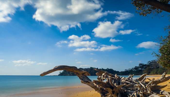 The majority of the tourists go to experience the Sitapur Beach sunrise