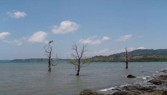 Best Time to Visit Chidiya Tapu