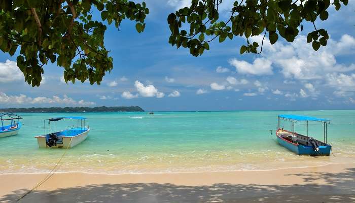 Bharatpur Beach Neil Island, Andaman