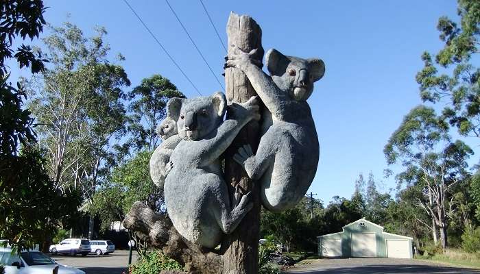 La vue de Billabong Zoo Koala et; Wildlife Park