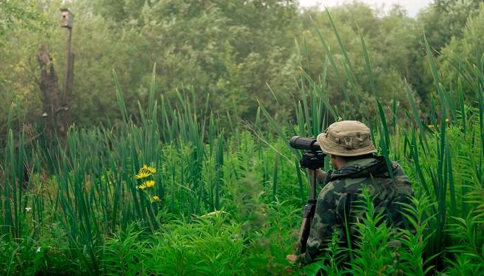 ne of the most offbeat activities to do is sit back, relax and watch different kinds of birds