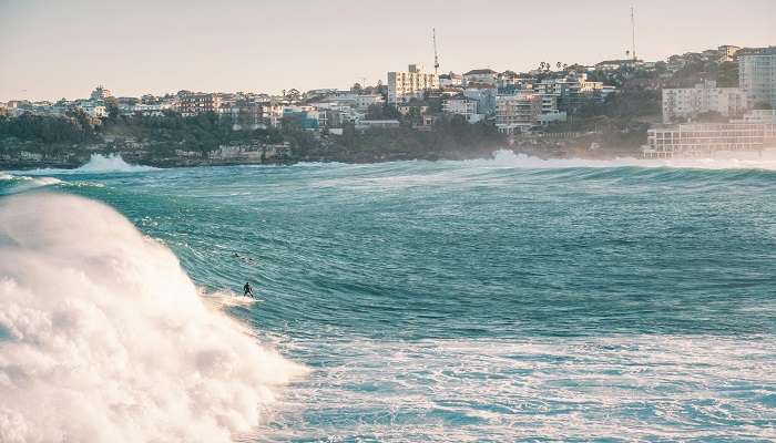 Explorez la Bondi Beach, Australie