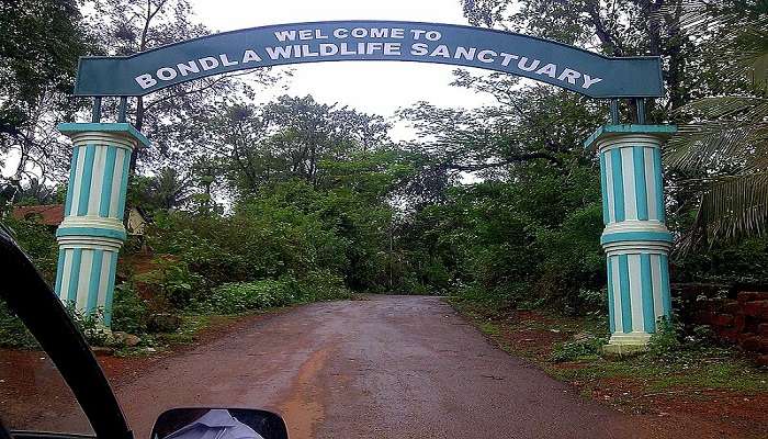 Verdant forest path in the Bondla Wildlife Sanctuary in Goa