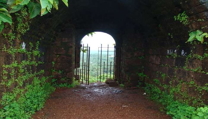 Scenic view from Chapora Fort to the top of the hill: opinions of the Chapora River and the Arabian Sea 