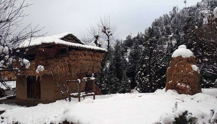 Historical tower in Tirthan Valley