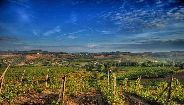 Take a Day Trip to the Chianti Wine Region