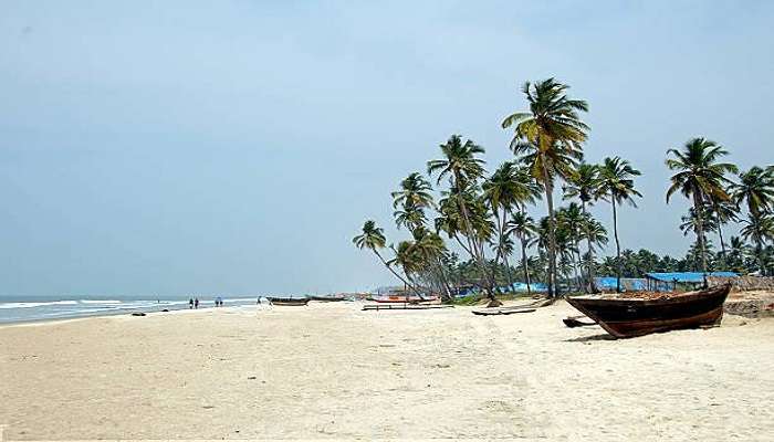 An aerial view of Colva with coconut trees and pristine waters.