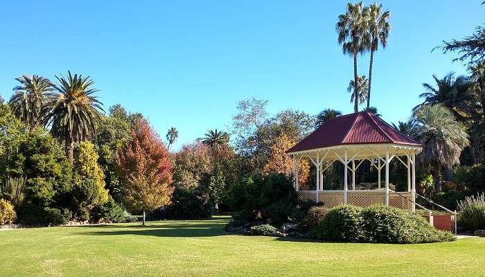 Découvrez la tranquillité dans les jardins botaniques d’Albury