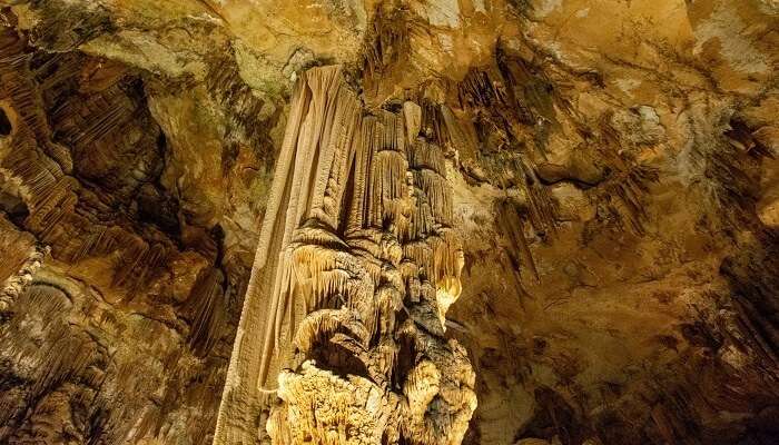 Découvrez les caractéristiques uniques des grottes de Waitomo Glowworm