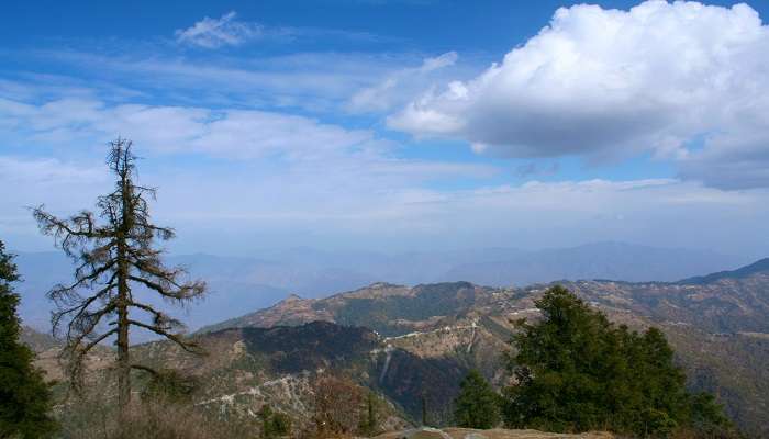  Dhanaulti, lush green destination 