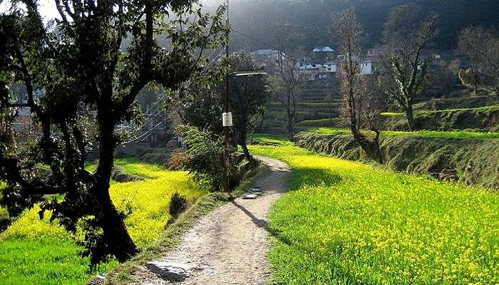 Full view of Dharamkot village