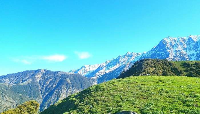 "A breathless view showing snow-capped peaks and green valleys of the Dhauladhar Ranges.