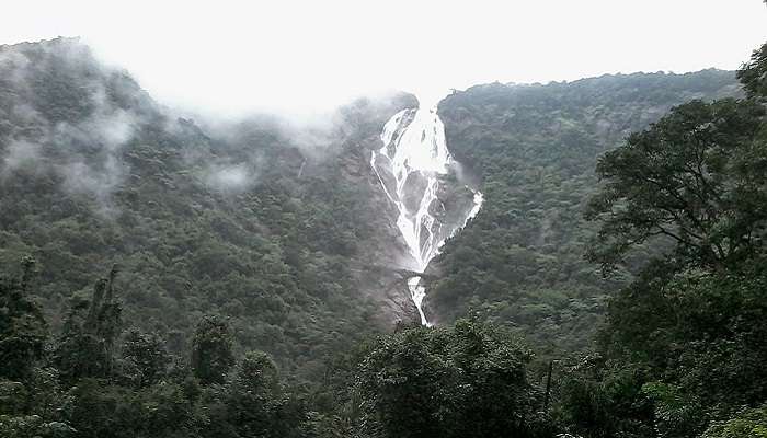 Views of Dudhsagar Waterfalls